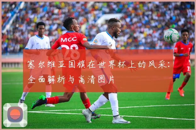 塞尔维亚国旗在世界杯上的风采：全面解析与高清图片