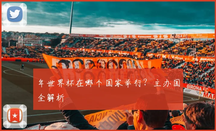 年世界杯在哪个国家举行?主办国全解析