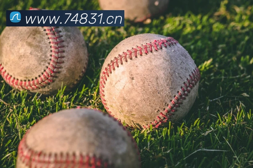 mksports最新比分服务体系